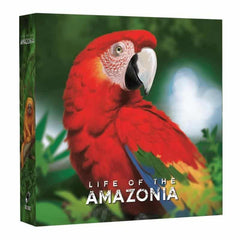 bordspellen-life-of-the-amazonia (28)