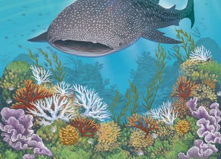 Shallow Sea: Rare Fish Expansion (NL) [VORBESTELLUNG]