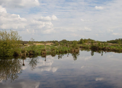 DSV Games Weekend January 2025: Chalet Lodges 4 people