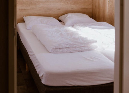 DSV Games Weekend January 2025: Chalet Lodges 4 people