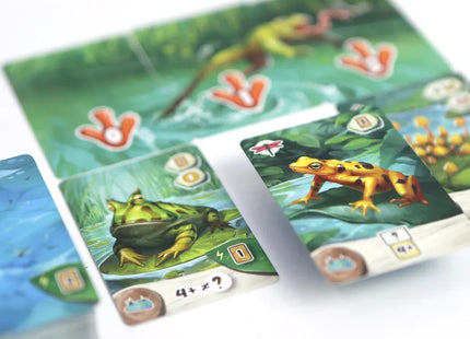 Pondscape - Kartenspiel (NL)