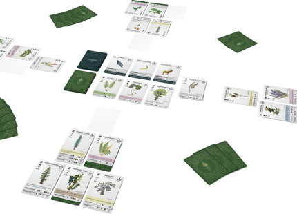 Reforest - Card Game (NL) [PRE ORDER]
