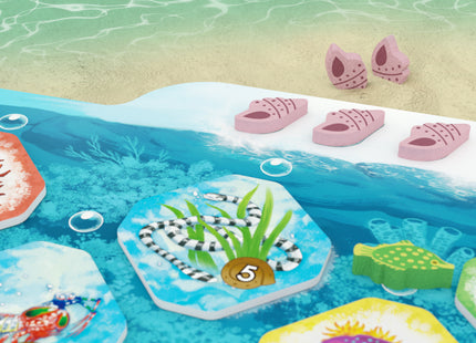 Shallow Sea - Bordspel (NL)