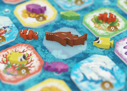 Shallow Sea: Zeldzame Vissen uitbreiding (NL) [PRE ORDER]