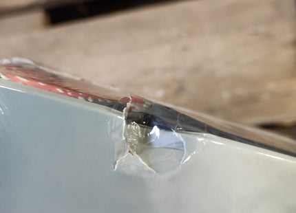 Mycelia: Das strategische Pilzspiel - Brettspiel (NL)