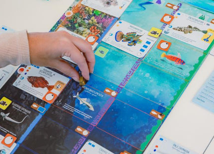 Finspan - Board game (ENG)