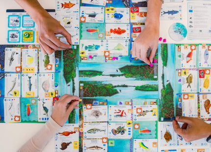 Finspan - Board game (ENG)