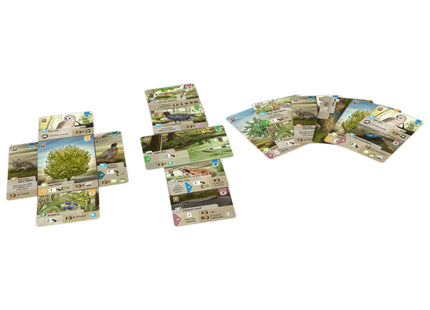 Forest Shuffle: Dartmoor - Card Game (NL)