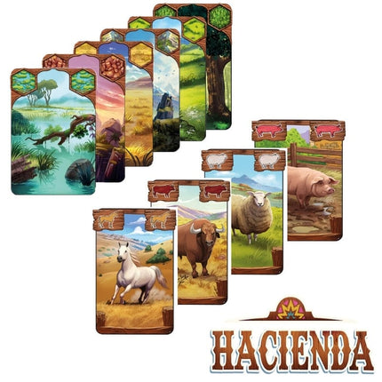 bordspellen-hacienda (4)