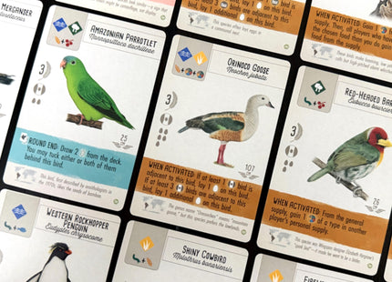 Wingspan: Americas uitbreiding (ENG) [PRE ORDER]