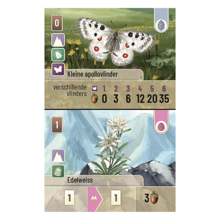 kaartspellen-forest-shuffle-alpine (3)